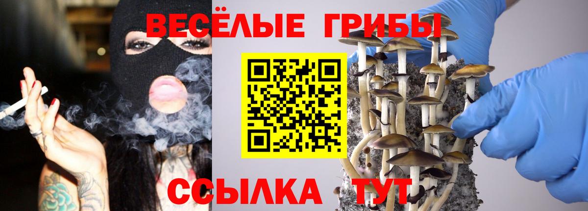 Галлюциногенные грибы мицелий  Вход с VPN  Избербаш 